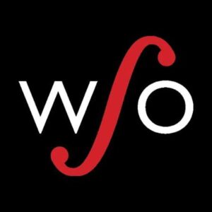 Thank you WSO for sponsoring Woman Abuse Prevention Month!